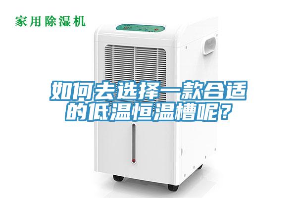 如何去選擇一款合適的低溫恒溫槽呢？